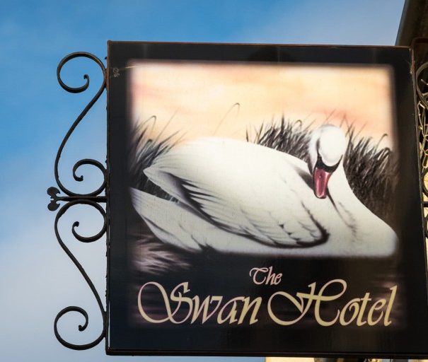 Swan